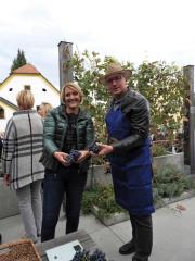 Tretja trgatev potomke najstarejše trte na svetu z obeti protokolarnega vina 1